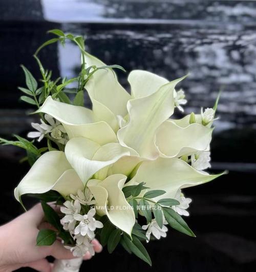 手捧花送给闺蜜的花语是什么？