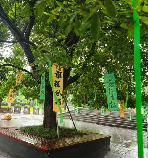 象征希望祈福的花有哪些？