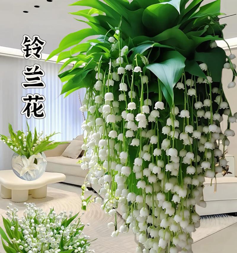 橙绿色手捧花代表什么？手捧花颜色组合的寓意是什么？