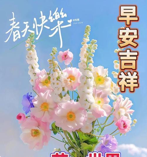 哪种花寓意着平安喜乐？送花时的注意事项是什么？