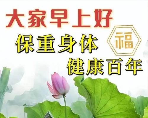 哪些花卉寓意平安健康？送花时如何传递健康祝福？