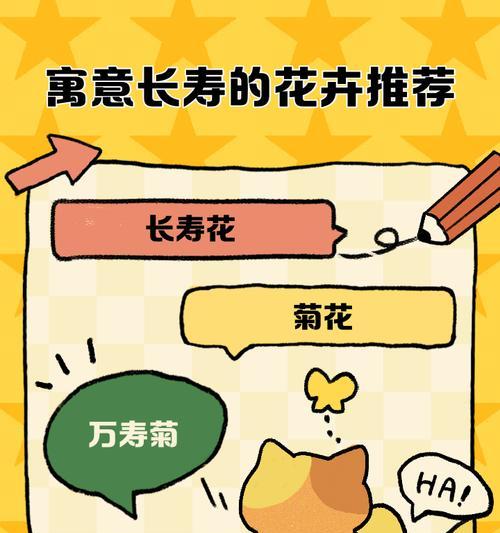 长寿花朝霞的花语是什么？其寓意有何特别之处？