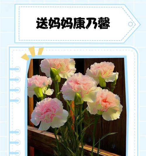 母亲节送什么花花语最恰当？哪种花最适合送给母亲？