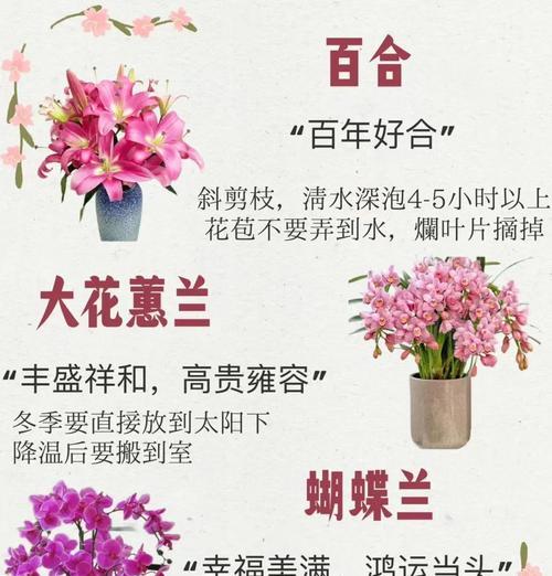 逢年过节送花有何寓意？节日送花的意义是什么？