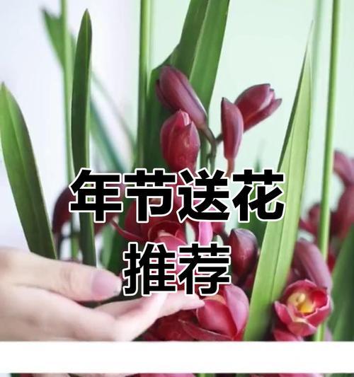 逢年过节送花有何寓意？节日送花的意义是什么？