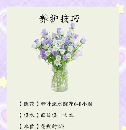 等待爱情的花朵有哪些象征意义？