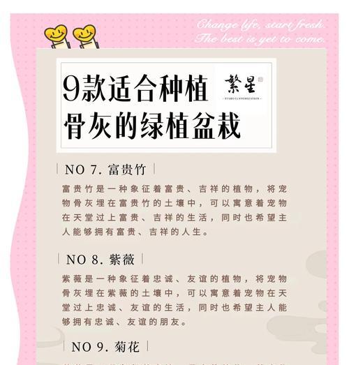 花葬有何文化意义？花葬的传统含义是什么？