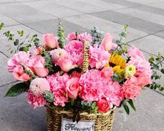 粉色花篮代表什么花的寓意？粉色花篮的花语是什么？