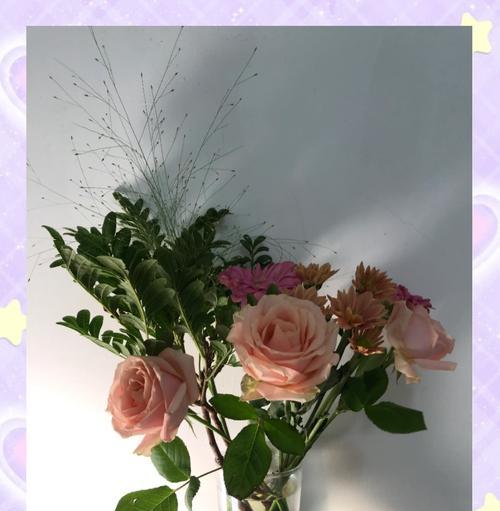 抽彩色棒送玫瑰花的寓意是什么？如何通过颜色选择表达情感？