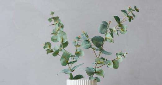 手捧花寿司蛋糕有何寓意？它代表什么？