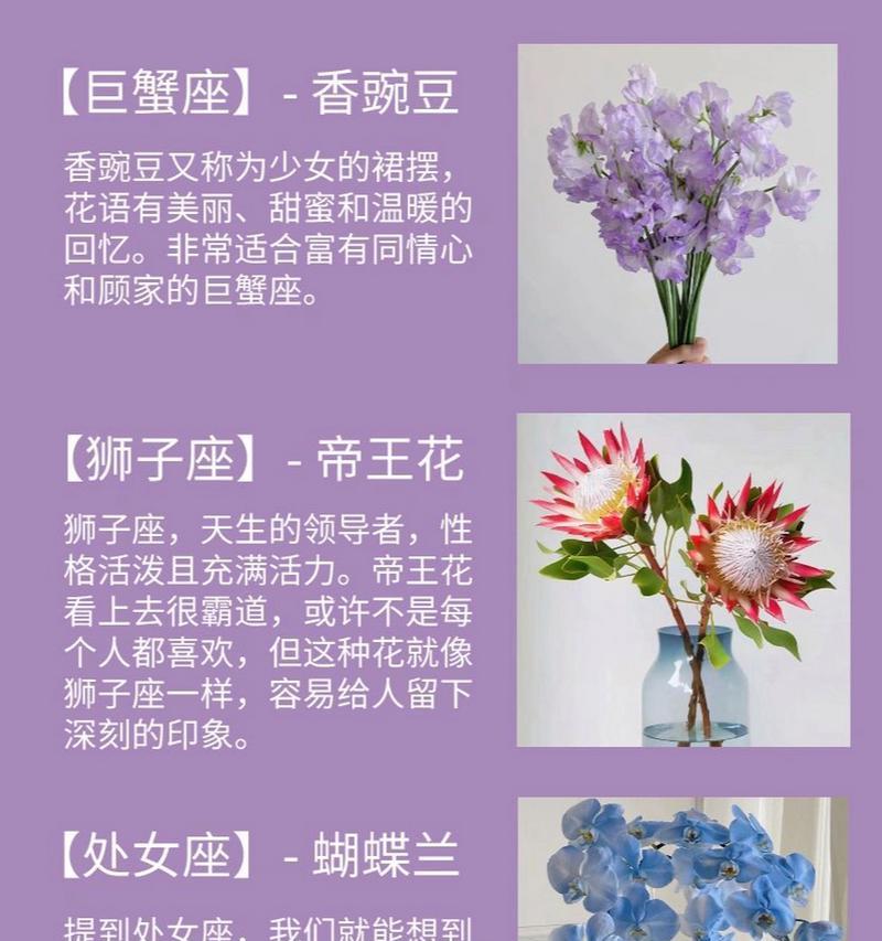 紫色花的爱情寓意是什么？紫色代表爱情的花有哪些？