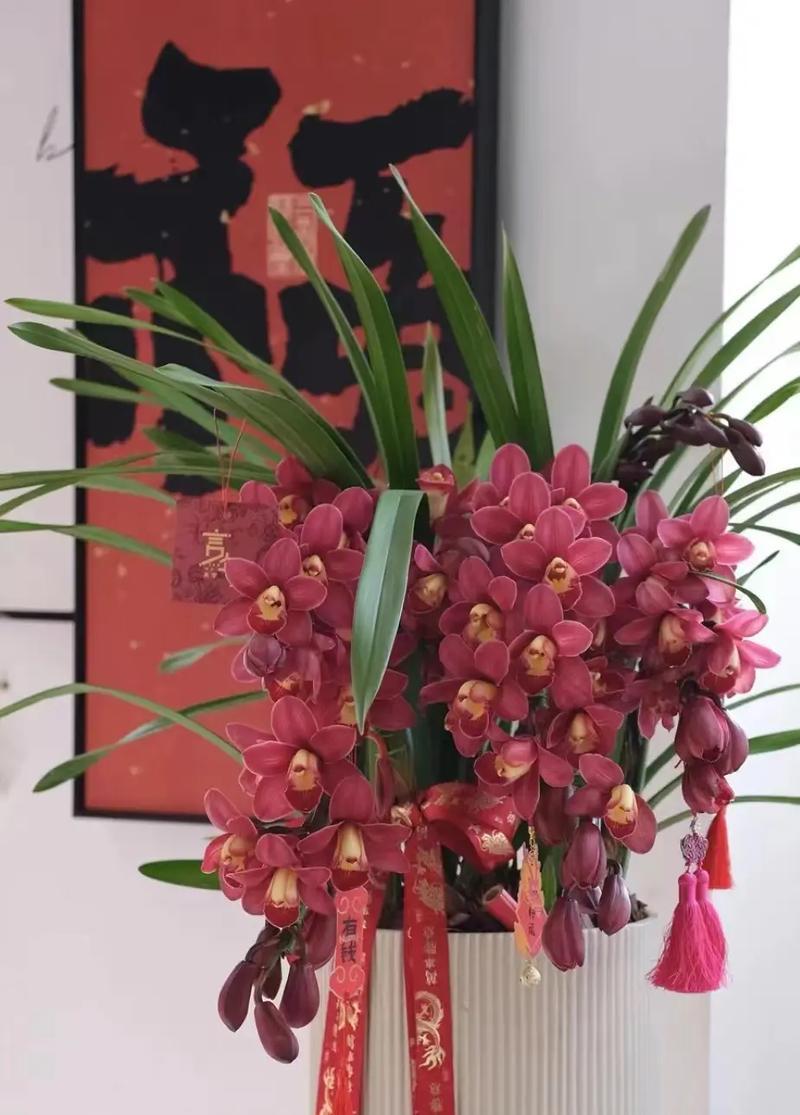 哪种花寓意吉祥如意？在传统节日中如何使用？