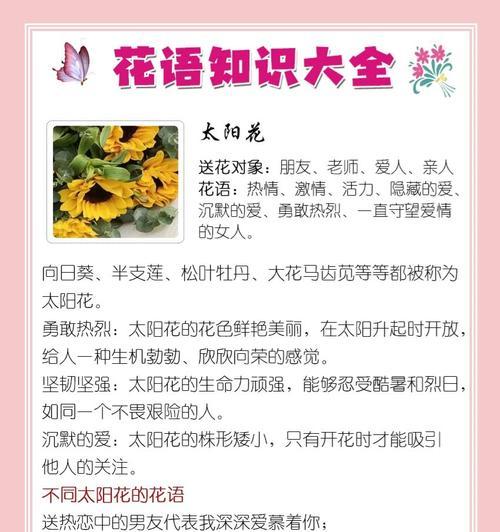 哪种花的花语是守望爱情？