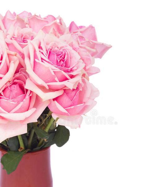 一束彩色玫瑰花的含义是什么？彩色玫瑰花有哪些颜色？