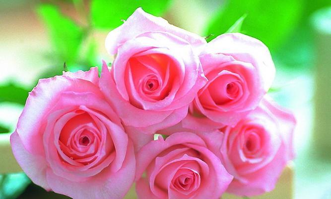 一束彩色玫瑰花的含义是什么？彩色玫瑰花有哪些颜色？