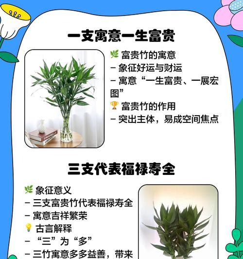 竹节茉莉花的寓意是什么？它们象征着什么？