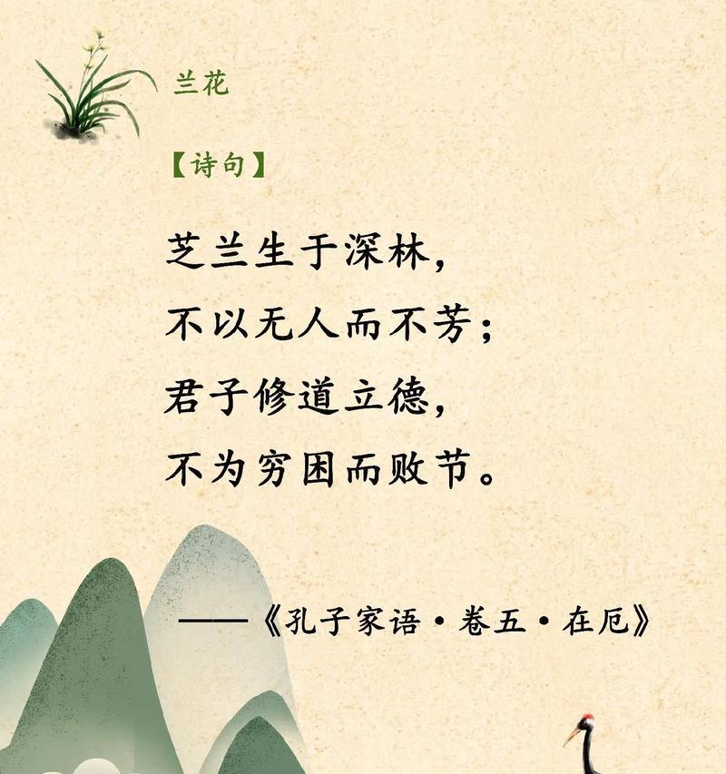 哪些兰花象征爱情？兰花的花语有哪些？