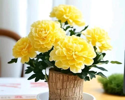哪种花象征着节俭？