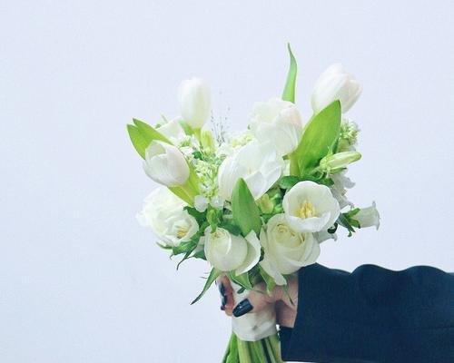 白色带灯手捧花有何特别寓意？它适合什么场合？