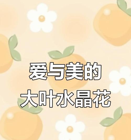 水晶花象征爱情吗？水晶花的寓意有哪些？
