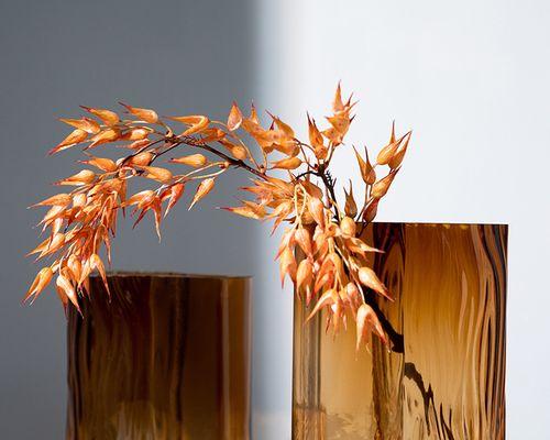 琥珀色的花代表什么？琥珀色花的含义是什么？