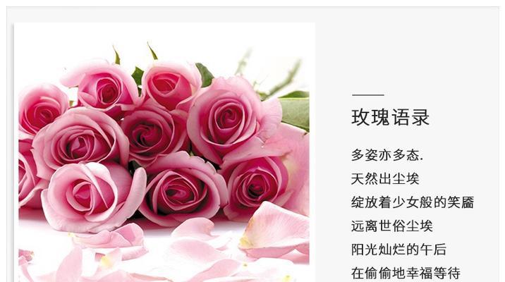 粉红色花在床头背景中的寓意是什么？