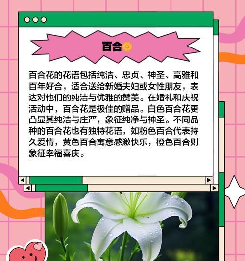 自古象征爱情的花有哪些？它们的花语是什么？
