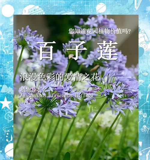 浪漫花卉花语是什么？如何表达爱意？