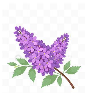 古代紫色花通常象征什么？
