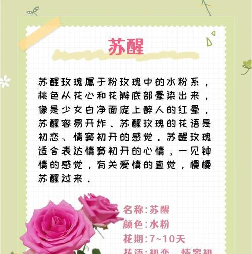 21朵粉色玫瑰代表什么意义？