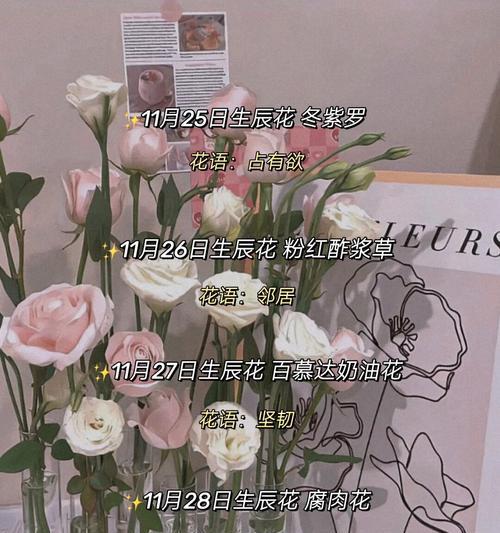 哪种花寓意偷偷祝福？它的含义是什么？