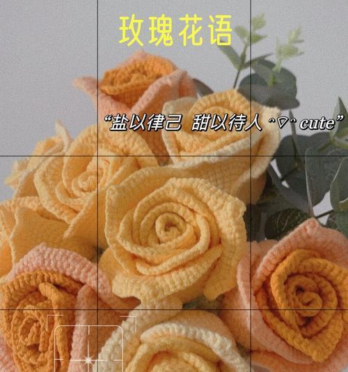 9朵不同色玫瑰花代表什么？每种颜色的花语是什么？