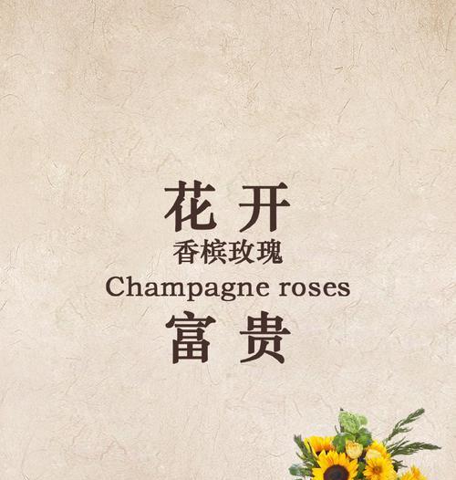 富贵玫瑰花的寓意及花语是什么？