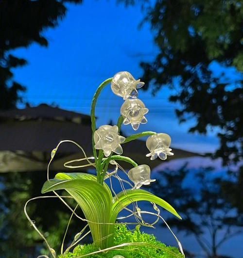蓝色和黄色手捧花的寓意是什么？