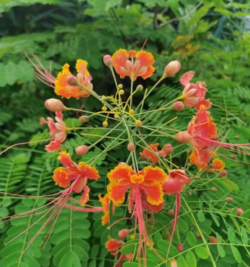 黄色的花通常代表什么？花的颜色寓意有哪些？