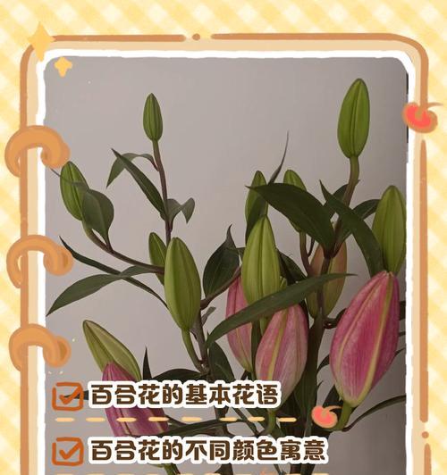各色花都有哪些寓意和花语？如何解读花的颜色语言？
