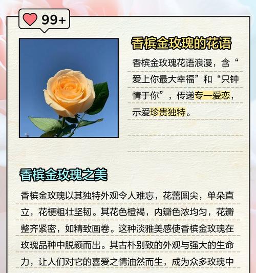 金色花第五段有何特别含义？金色花的第五段花语是什么？