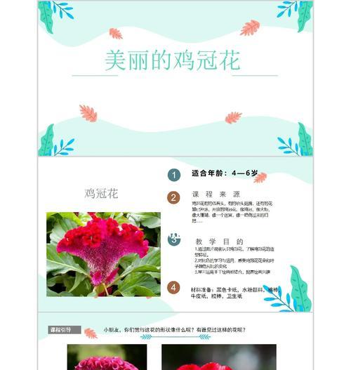 鸡冠花的传统寓意是什么？它象征着什么？