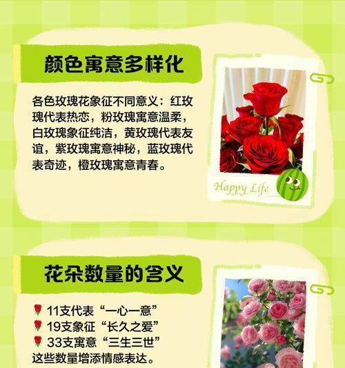 三色和一笔花玫瑰有何寓意？三色玫瑰的象征意义是什么？