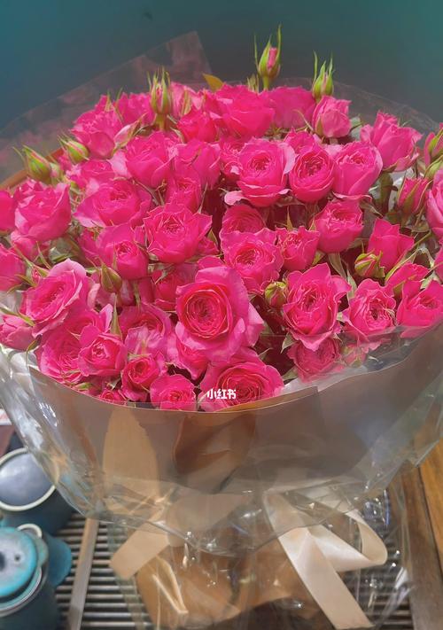 送玫红色玫瑰花的意义是什么？玫红色玫瑰花代表什么？