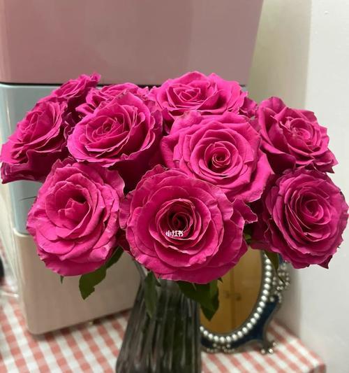 送玫红色玫瑰花的意义是什么？玫红色玫瑰花代表什么？