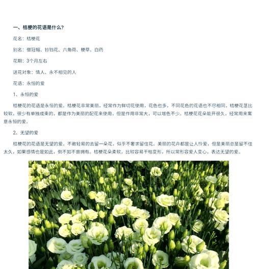 绿色花束的花语是什么？如何解读绿色花束的含义？