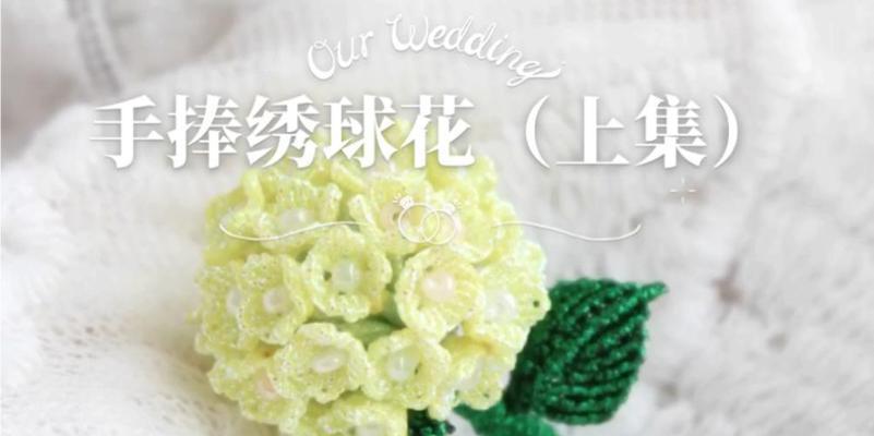 手捧绣球花有何特殊含义？它在传统中象征着什么？