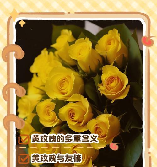 嫩黄色玫瑰花代表什么？它的花语是什么？