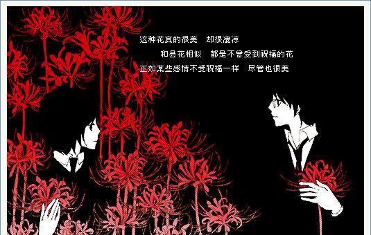 黑色彼岸花象征着什么？它的真正含义是什么？
