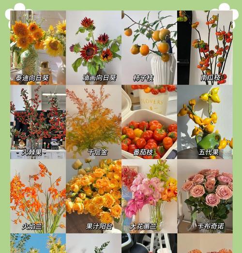 奥梅粉色花语是什么？奥梅粉色花代表什么？