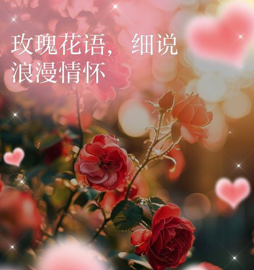花语如何表达浪漫？浪漫的花语有哪些？