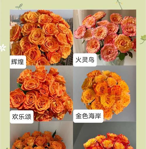 红色和橙色手捧花的寓意是什么？它们代表了哪些情感？