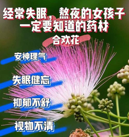 黄色合欢花的含义和寓意是什么？