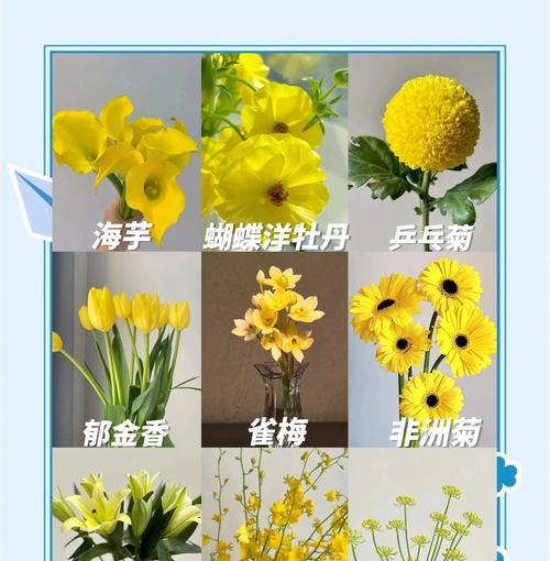 黄色的花通常象征什么意义？